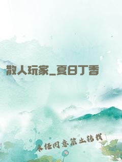 散人玩家