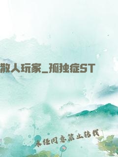 散人玩家