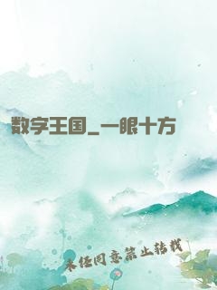 数字王国