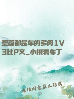 整篇都是车的多肉1V3比P文