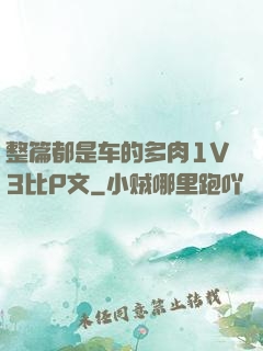 整篇都是车的多肉1V3比P文
