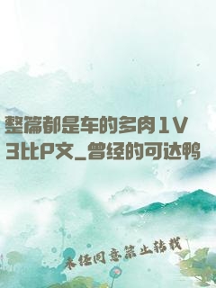 整篇都是车的多肉1V3比P文