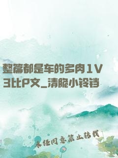 整篇都是车的多肉1V3比P文