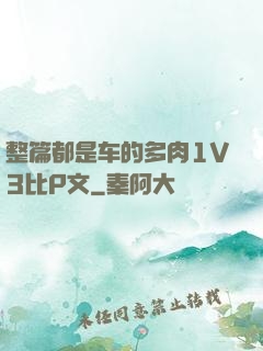 整篇都是车的多肉1V3比P文