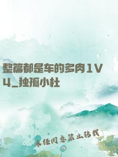 整篇都是车的多肉1V4
