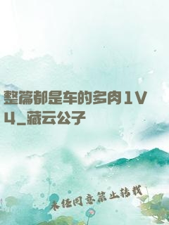 整篇都是车的多肉1V4