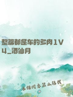 整篇都是车的多肉1V4