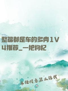 整篇都是车的多肉1V4推荐