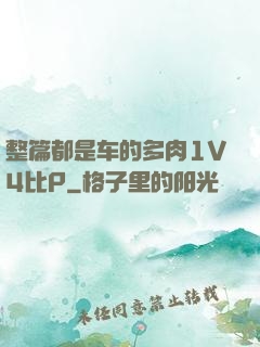 整篇都是车的多肉1V4比P