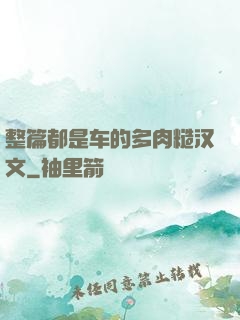 整篇都是车的多肉糙汉文