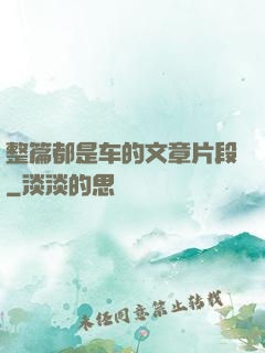 整篇都是车的文章片段