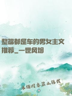 整篇都是车的男女主文推荐