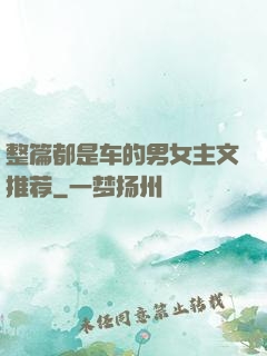 整篇都是车的男女主文推荐