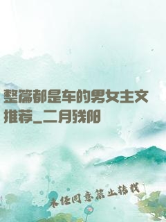 整篇都是车的男女主文推荐