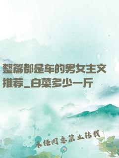 整篇都是车的男女主文推荐