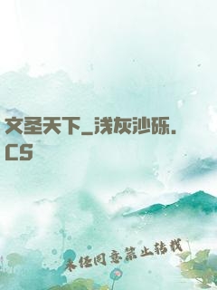文圣天下