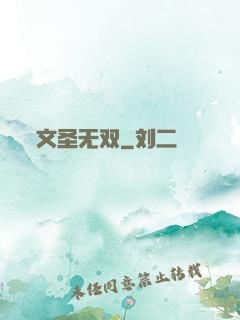 文圣无双