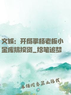 文娱：开局拿杨老板小金库搞投资