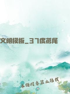 文明模板