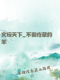 文玩天下
