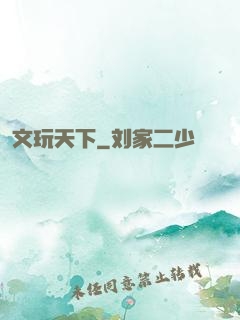 文玩天下