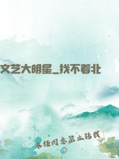 文艺大明星