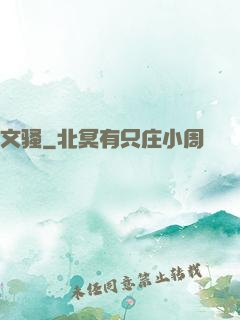 文骚