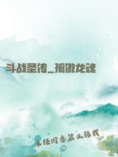 斗战圣传