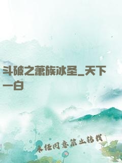斗破之萧族冰圣