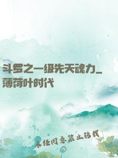 斗罗之一级先天魂力