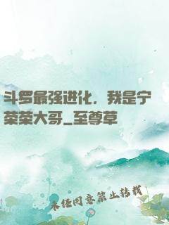 斗罗最强进化，我是宁荣荣大哥