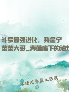 斗罗最强进化，我是宁荣荣大哥