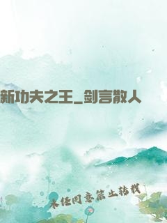 新功夫之王