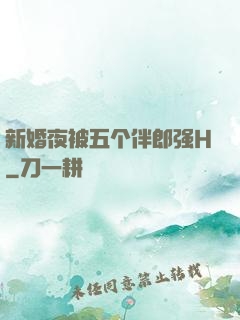 新婚夜被五个伴郎强H