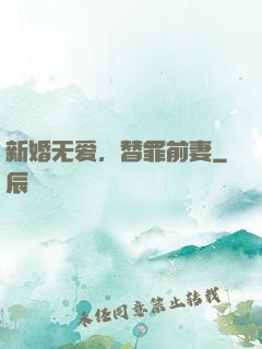 新婚无爱，替罪前妻