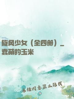 旋风少女（全四册）