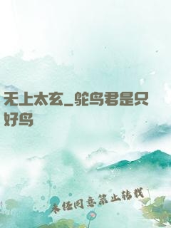 无上太玄