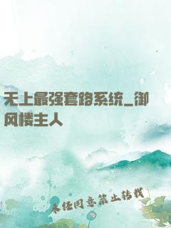 无上最强套路系统
