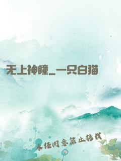 无上神瞳