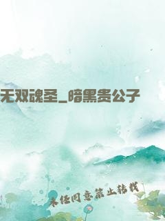 无双魂圣