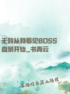 无敌从我看见BOSS血条开始
