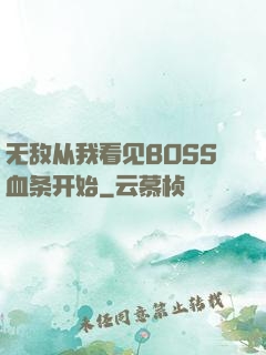 无敌从我看见BOSS血条开始