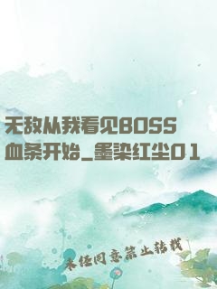 无敌从我看见BOSS血条开始