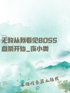 无敌从我看见BOSS血条开始