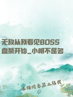 无敌从我看见BOSS血条开始