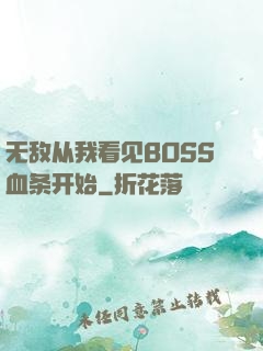 无敌从我看见BOSS血条开始