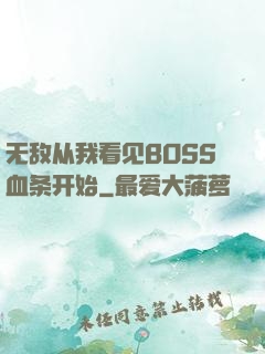 无敌从我看见BOSS血条开始