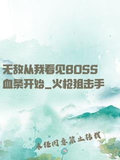无敌从我看见BOSS血条开始