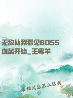 无敌从我看见BOSS血条开始