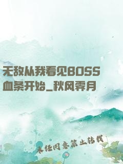无敌从我看见BOSS血条开始